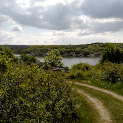 Vägen till havet